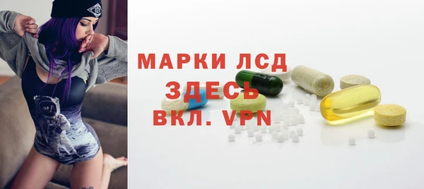 гидра Аркадак