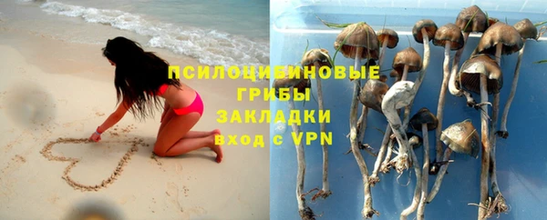гидра Аркадак