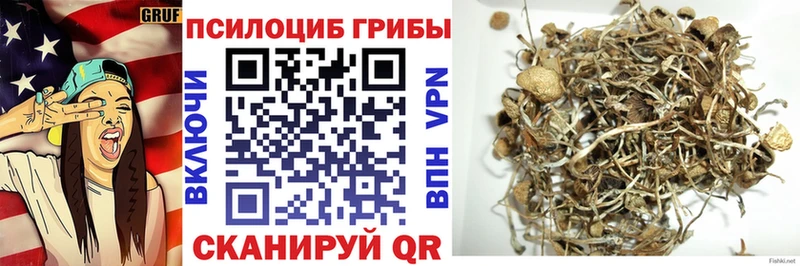 Псилоцибиновые грибы мухоморы дарнет шоп Сарапул
